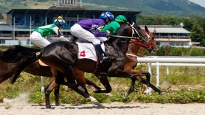 Coral Horseracing betting