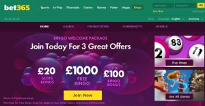 bet365-bingo-1