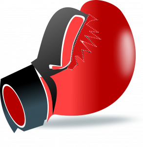 Boxing Glove