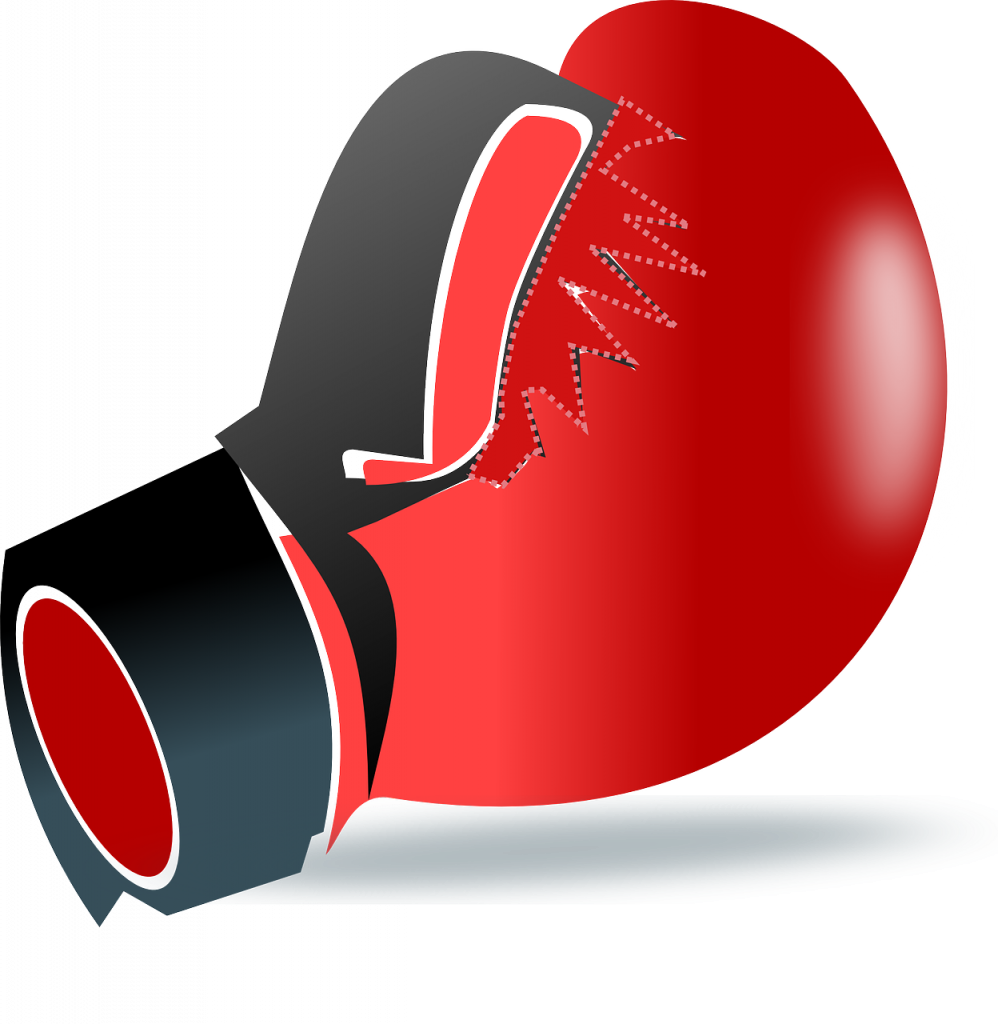 Boxing Glove