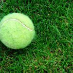 tennis ball 1593518 640