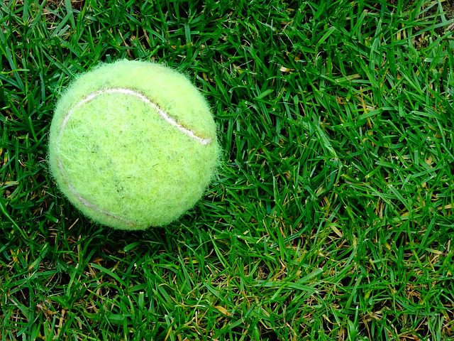 tennis ball 1593518 640