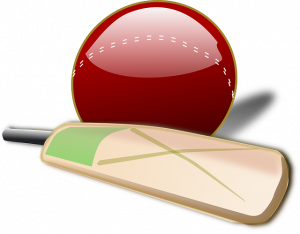 cricket 150561 640