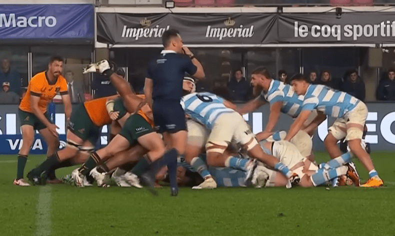 argentina vs australia rugby