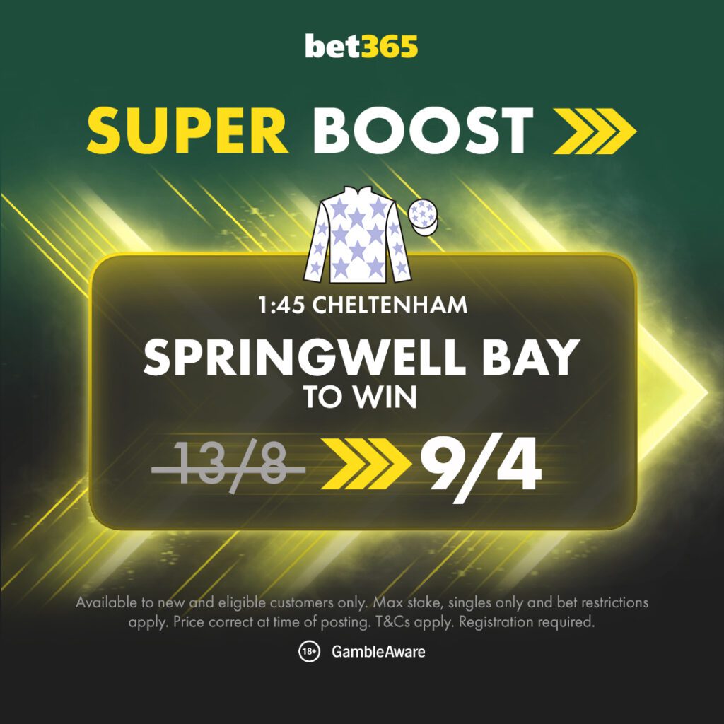 Springwell Bay Super Boost