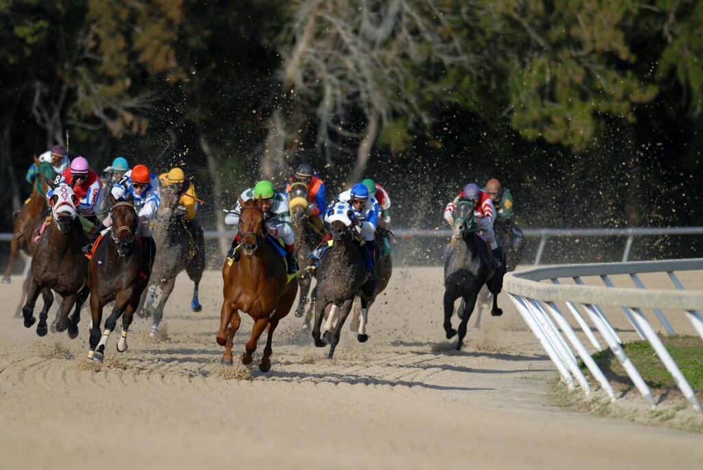 Tote Betting 1