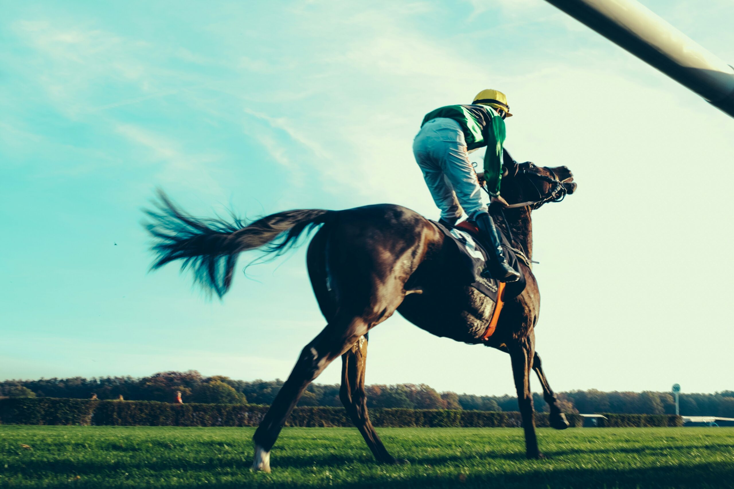 Tote Betting