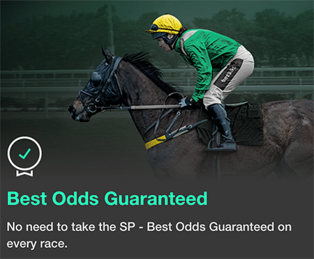 Best-Odds-Horses