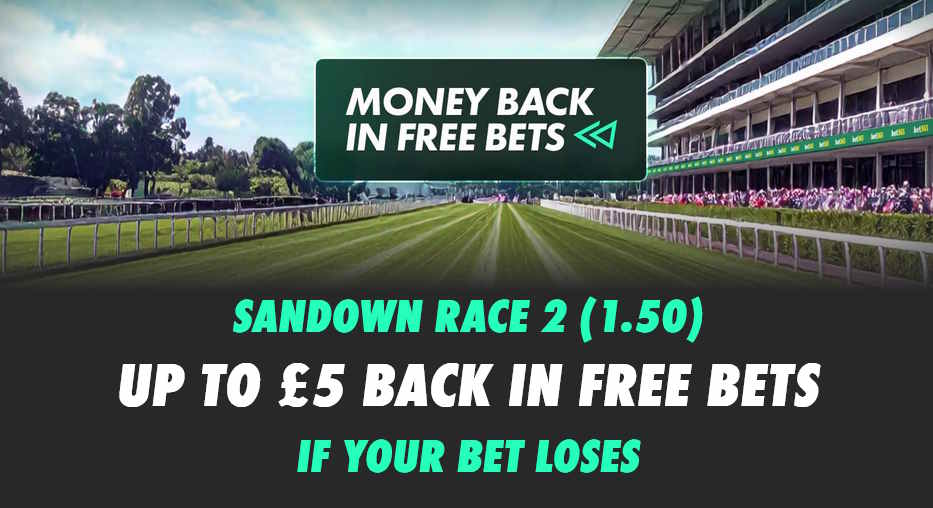 sandown race 2 april 24-25